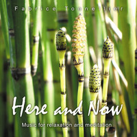 Fabrice Tonnellier - Here and Now: Music for Relaxation and Meditation