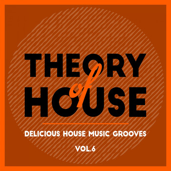 Various Artists - Theory of House (Delicious House Music Grooves), Vol. 6
