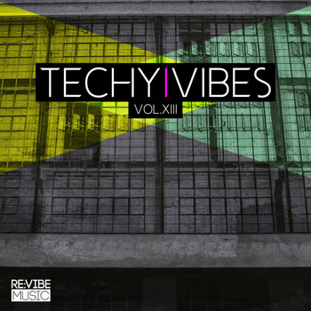 Various Artists - Techy Vibes, Vol. 13