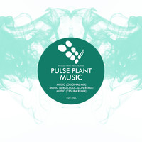 Pulse Plant - Music