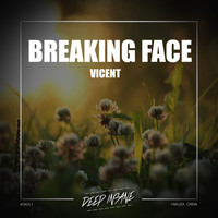 Vicent - Breaking Face