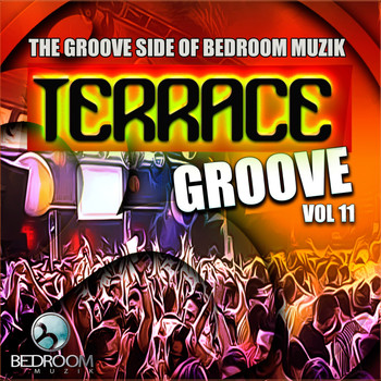Various Artists - Terrace Groove, Vol.11: The Groove Side Of Bedroom Muzik