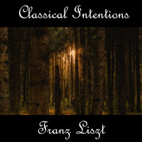 Franz Liszt - Instrumental Intentions: Franz Liszt
