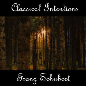 Franz Schubert - Instrumental Intentions: Franz Schubert