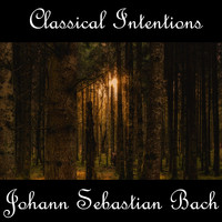Johann Sebastian Bach - Instrumental Intentions: Johann Sebastian Bach