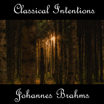 Johannes Brahms - Instrumental Intentions: Johannes Brahms