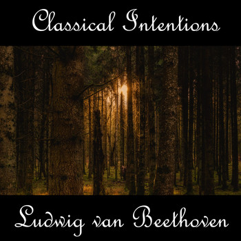 Ludwig van Beethoven - Instrumental Intentions: Ludwig van Beethoven