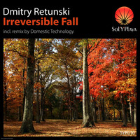 Dmitry Retunski - Irreversible Fall
