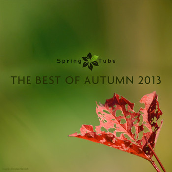 Various Artists - The Best of Autumn 2013