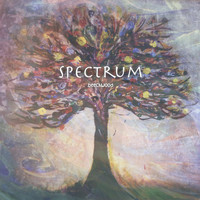 Beechwood - Spectrum