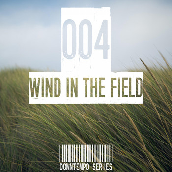Various Artists - Wind in the Field (Downtempo Series), Vol. 004