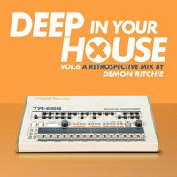 Demon Ritchie - Deep in Your House, Vol. 6 - A Retrospective Mix by Demon Ritchie