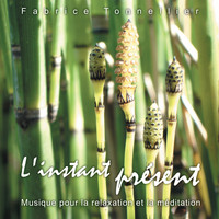 Fabrice Tonnellier - L'instant présent (Musique pour la relaxation et méditation)