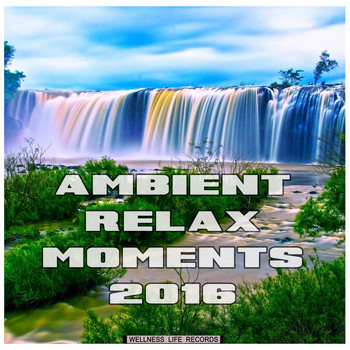 Various Artists - Ambient Relax Moments 2016