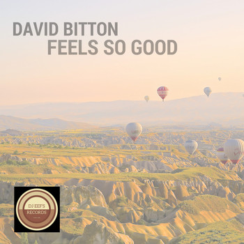 David Bitton - Feels so Good