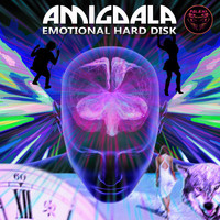 Amigdala - Emotional Hard Disk