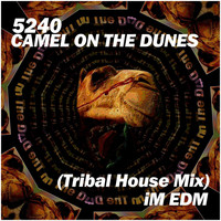 5240 - Camel on the Dunes (Tribal House Mix)