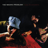The Negro Problem - Joys And Concerns