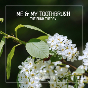 Me & My Toothbrush - The Funk Theory - EP