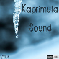 Kaprimula Sound - Vol. 3