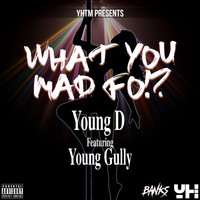 Young Gully - What You Mad Fo (feat. Young Gully)