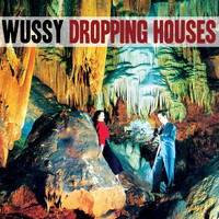 Wussy - Dropping Houses