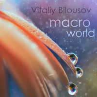 Vitaliy Bilousov - Macro World