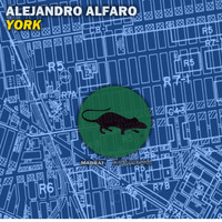 Alejandro Alfaro - York