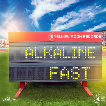 Alkaline - Fast - Single