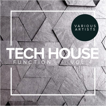Various Artists - Tech House Function, Vol.4