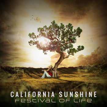 California Sunshine - Festival Of Life