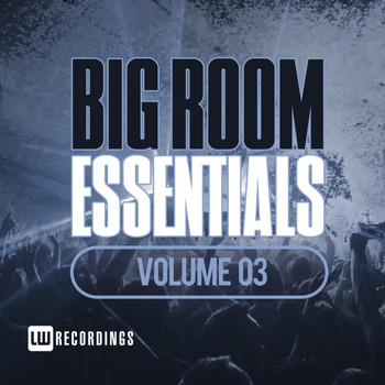 Various Artists - Big Room Essentials, Vol. 03