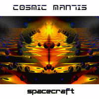 Cosmic Mantis - Spacecraft