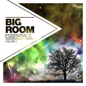 Various Artists - Big Room Essentials, Vol. 2