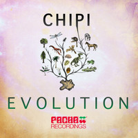 Chipi - Evolution