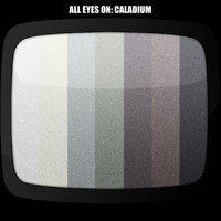 Caladium - All Eyes On Caladium