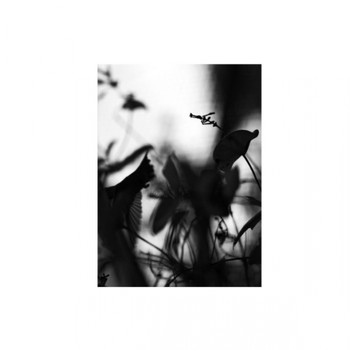 Pawel - Berkeley