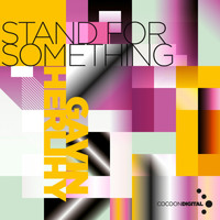 Gavin Herlihy - Stand For Something