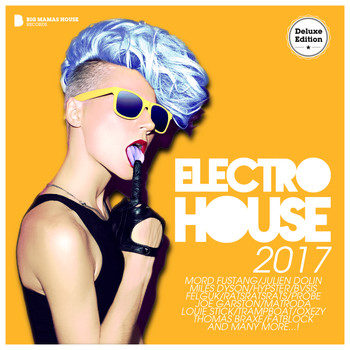 Various Artists - Electro House 2017 (Deluxe Version)