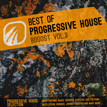 Various Artist - Best of Progressive House Booost Vol. 3