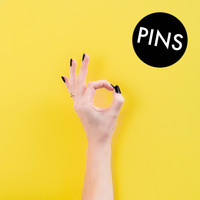 PINS & Iggy Pop - Aggrophobe