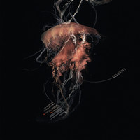 Roel Funcken - Dreampty EP