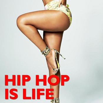 Various Artists - Hip Hop Is Life