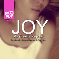 Anthony Poteat - Joy: MetaPop Remixes