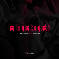Jay Santos - Sé Lo Que Te Gusta (Radio Edit [Explicit])