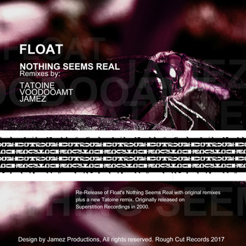 Float - Nothing Seems Real