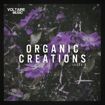 Various Artists - Organic Creations Issue 3