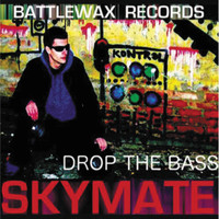 Skymate - Skymate LP