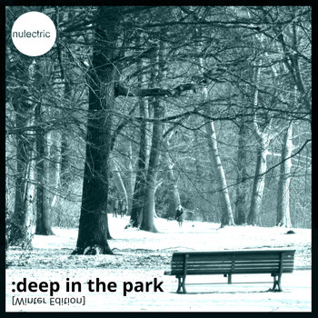 Various Artists - Deep In The Park, Vol. 5 (Winter Edition)