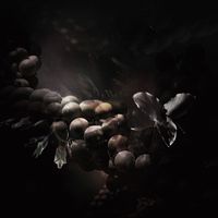 NotioN - Cold Coding / Somehow, Right Now